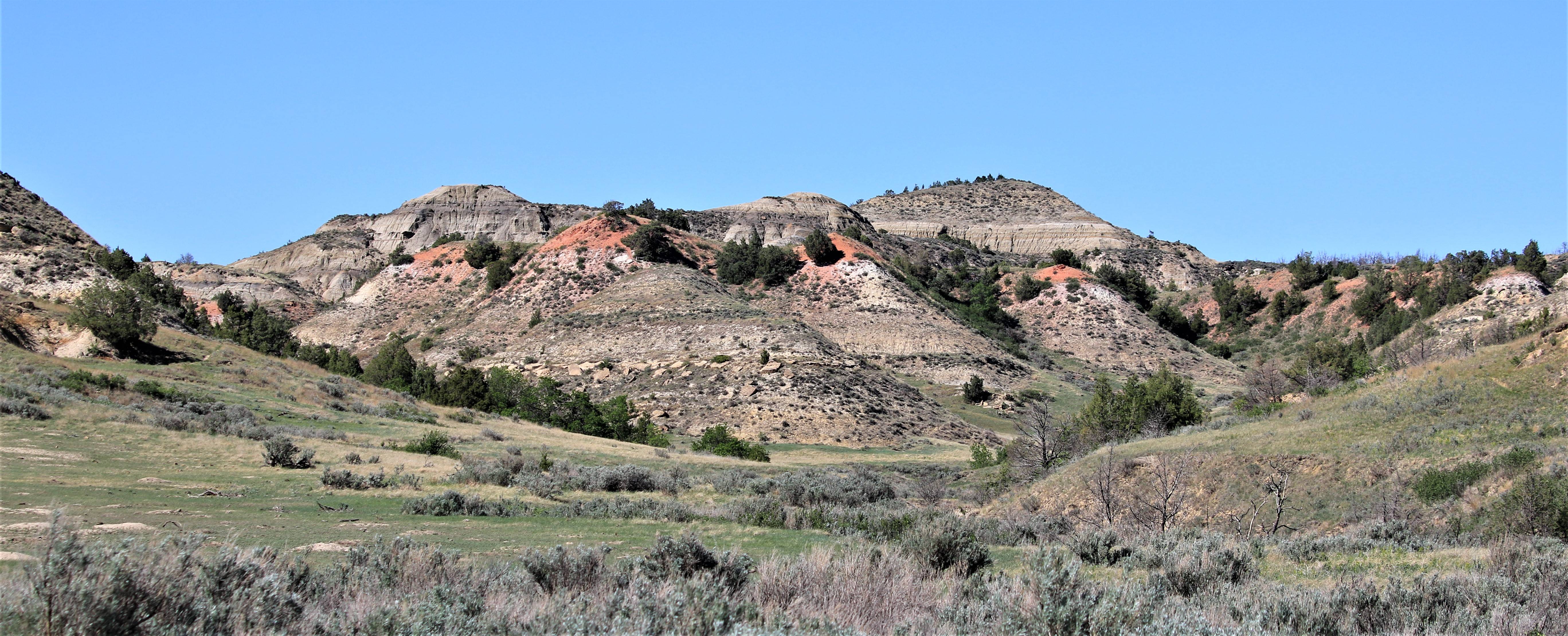 Theodore Roosevelt NP